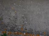 image of grave number 916696